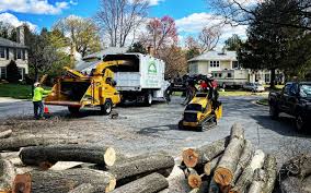 Best Sod Installation  in Bellport, NY